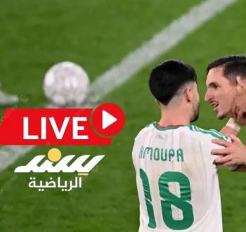 بث مباشر.. مشاهدة مباراة الجزائر و نيجيريا في ربع نهائي أمم إفريقيا