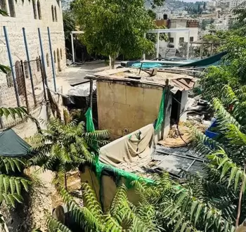 بطن الهوى