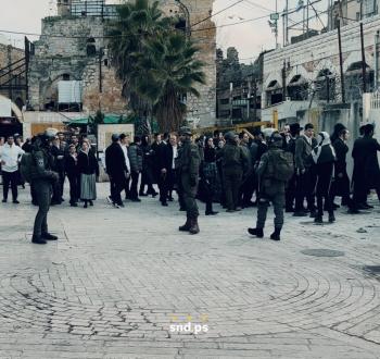 مستوطنون في الخليل  (1).jpeg
