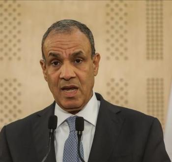 وزير خارجية مصر