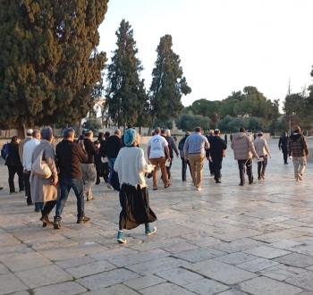 مستوطنون يقتحمون المسجد الأقصى  (1).jpeg