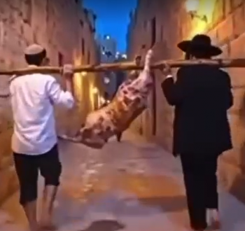 قربان الفصح