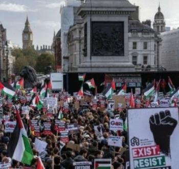 الشعب الأمريكي يتضامن مع القضية الفلسطينية