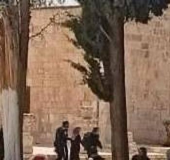 اعتقال فتاة من المسجد الأقصى.jpg