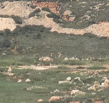 مستوطنون يسيجون أرض