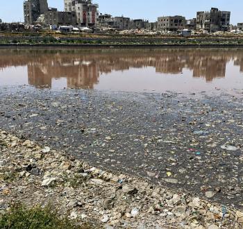 بركة الشيخ رضوان