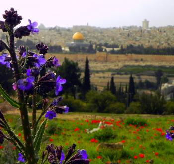 ربيع القدس.jpg