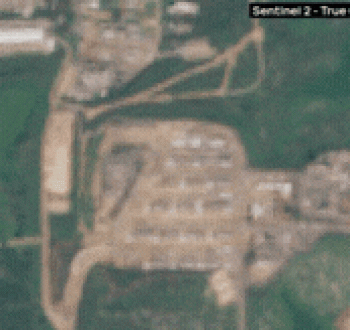 image.gif