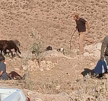 اعتداء على مواطن