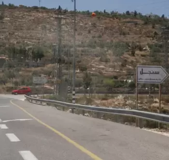 سنجل.webp