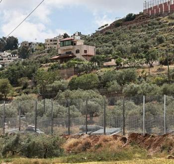 سنجل.jpg