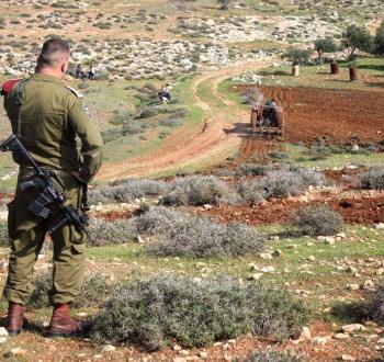 أرشيفية.jpg