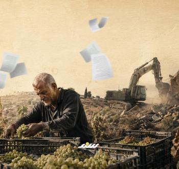 عنب جنين