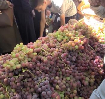 مهرجان العنب.jpg