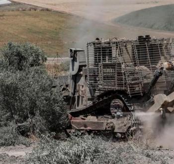 تجريف زيتون فلسطيني.jpg