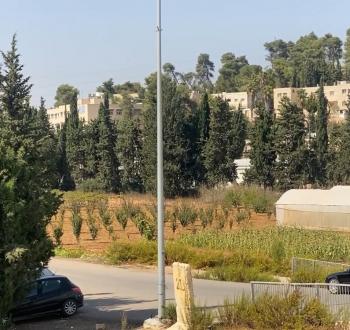 جامعة خضوري