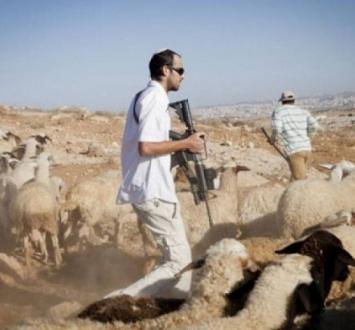 استيطان رعوي بالضفة الغربية