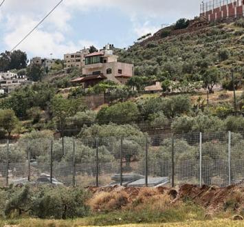 سنجل.jpg