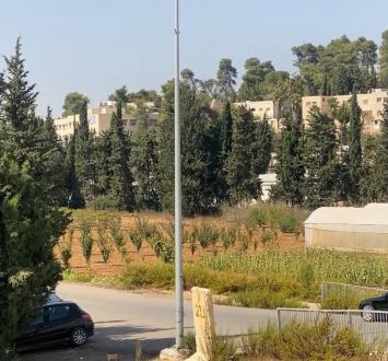 جامعة خضوري