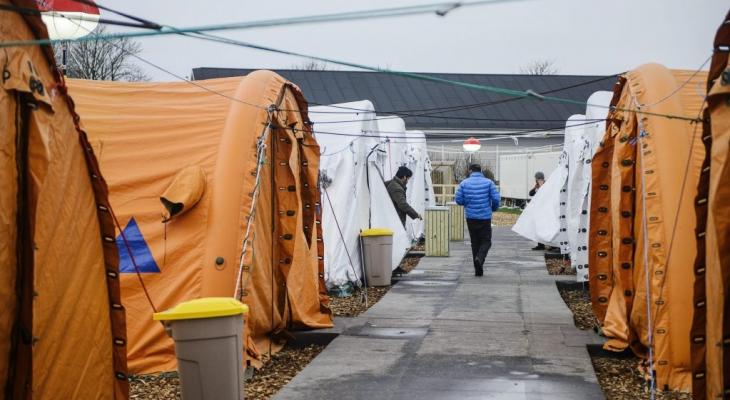 مخيمات اللجوء.jpeg