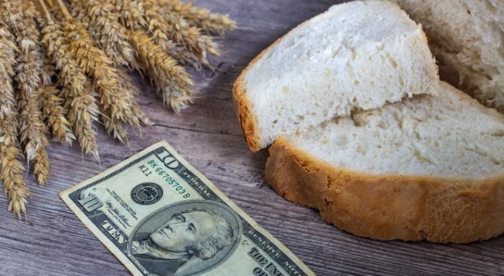 ارتفاع أسعار القمح والذرة
