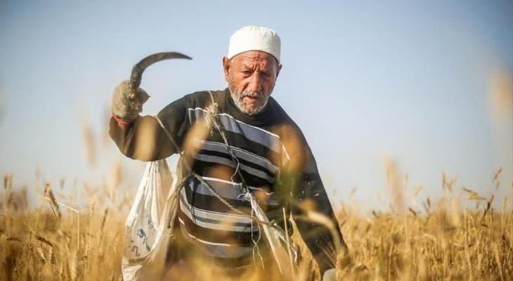 عامل فلسطيني.jpg