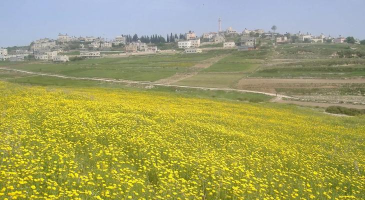 فصل الربيع في فلسطين