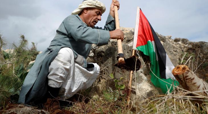 مواطن فلسطيني خلال فعالية لزراعة الزيتون.jpeg