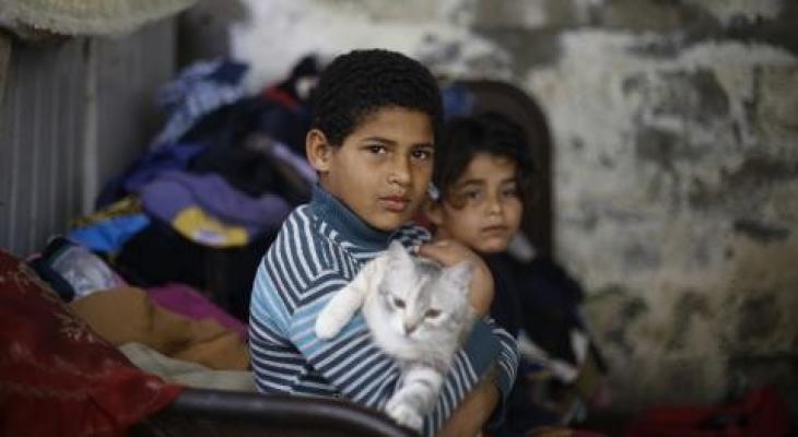 Gaza IDP boy and his cat - ElBaba.jpg