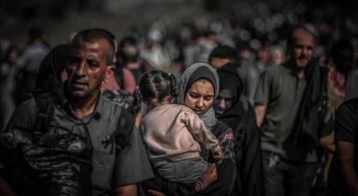 غزة الجريحة.jpg