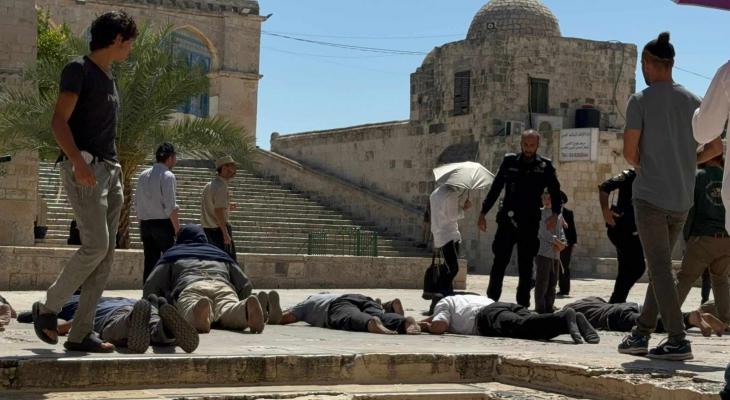 مستوطنون يؤدون سجودا ملحميا في باحات المسجد الأقصى