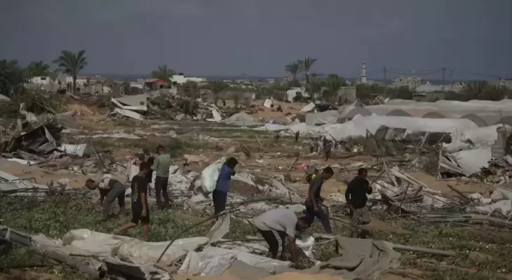 تدمير الأراضي الزراعية بغزة