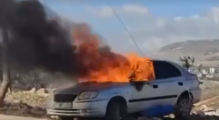 بيت فوريك