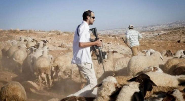اعتداءات المستوطنين في أريحا
