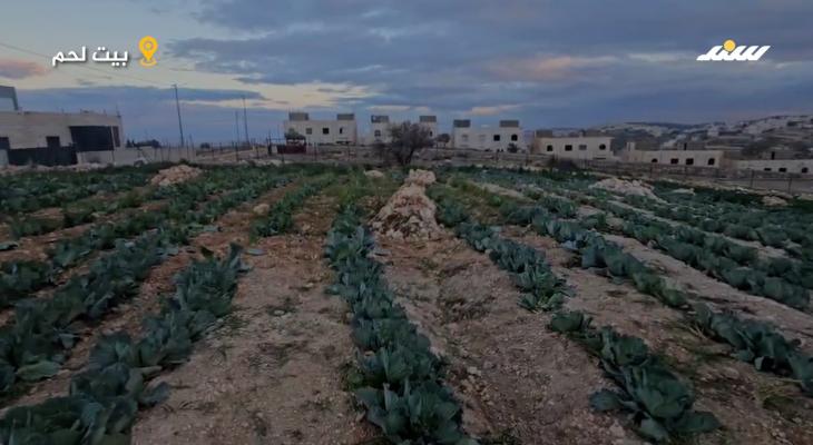 تبادل الأدوار بين جيش الاحتلال والمستوطنين واقع مأساوي يعيشة الفلسطيني في خلايل اللوز جنوب بيت لحم