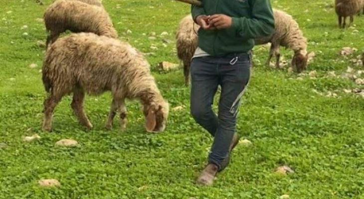 الاستيطان الرعوي