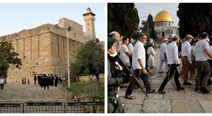 انتهاكات إسرائيلية في المسجد الأقصى والمسجد الإبراهيمي