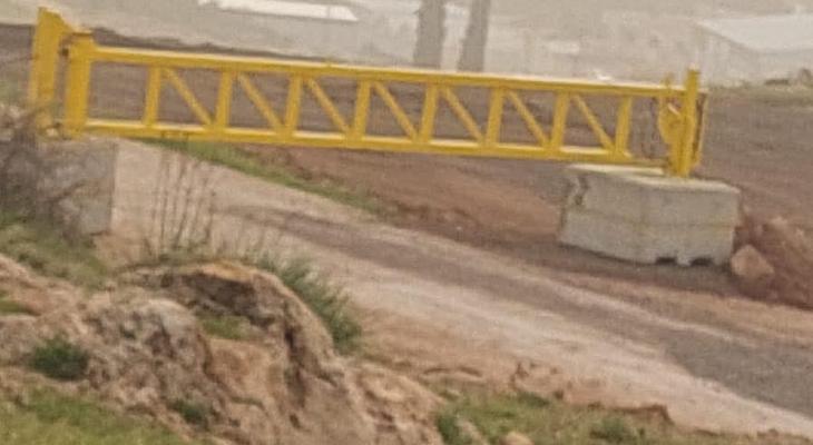 بردلة