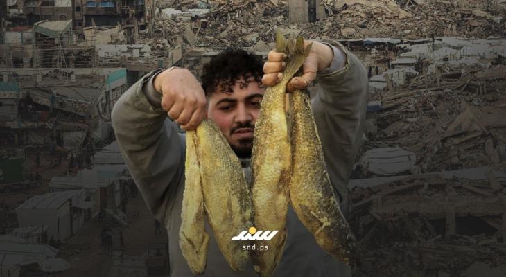 الفسيخ