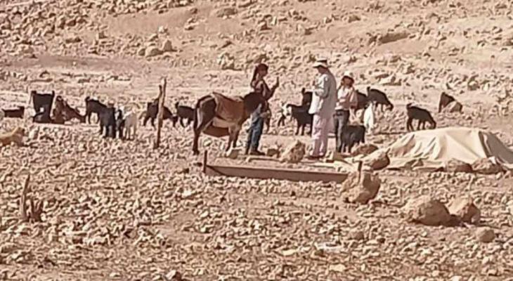 مستوطنون