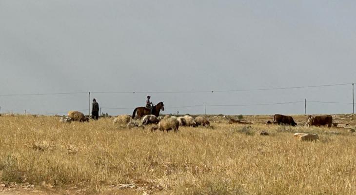اعتداء في المسافر