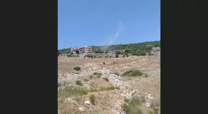 غارة النبطية