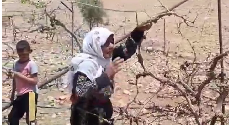 الحاجة صبرية أبو عرام