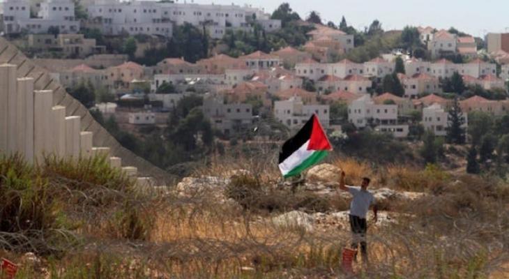شاب يحمل علم فلسطين قبالة مستوطنة إسرائيلية في الضفة الغربية.jpg