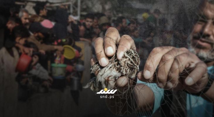صيد العصافير