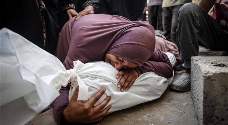 غزة (2).jpg