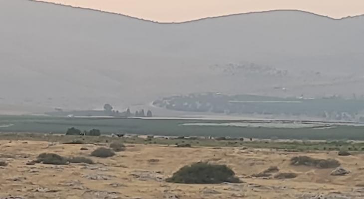 بردلة