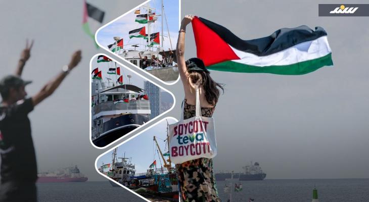 أسطول الصمود