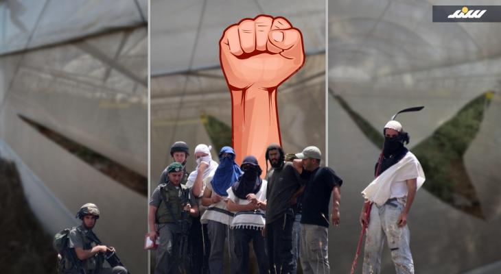 تقرير الاستيطان في بيت دجن