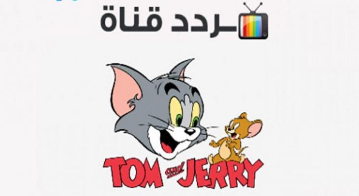 متعة مشاهدة توم وجيري: قنوات وترددات لمغامرات لا تتوقف